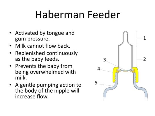 medela habermani lutt